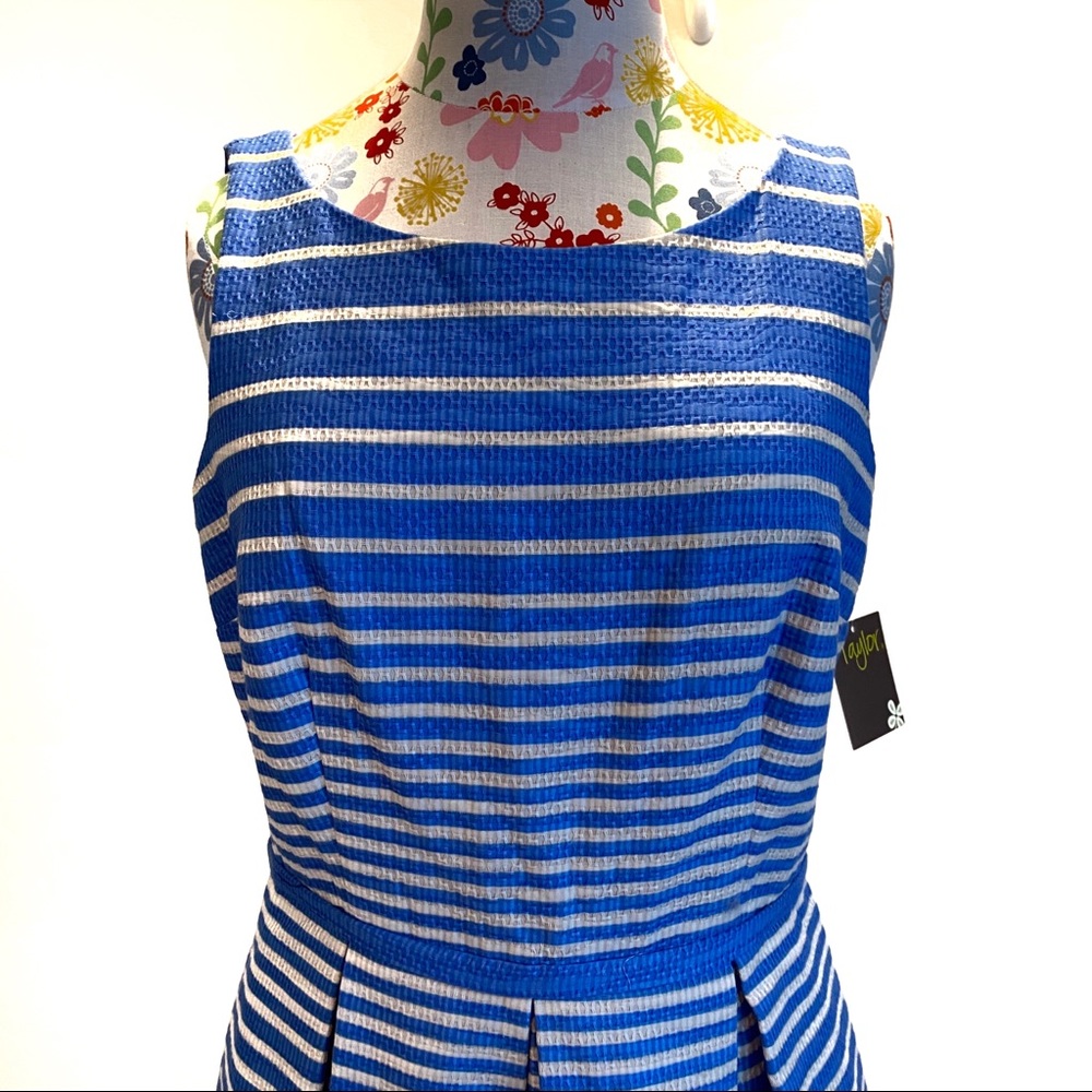 Taylor Striped Wide Pleat Tank Dress with Pockets - Picture 3 of 10